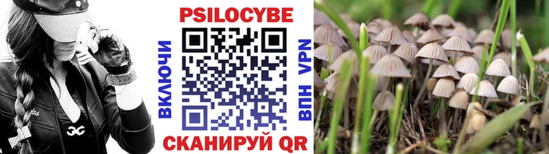Галлюциногенные грибы прущие грибы  цены наркотик  Кудымкар 